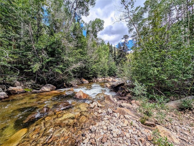 23795 County Road 162, Nathrop, CO 81236 - photo 14