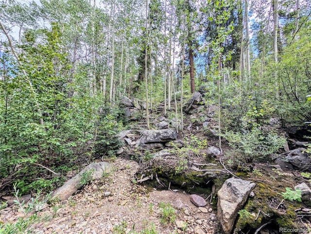 23795 County Road 162, Nathrop, CO 81236 - photo 15