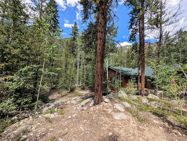23795 County Road 162, Nathrop, CO 81236 - photo 18
