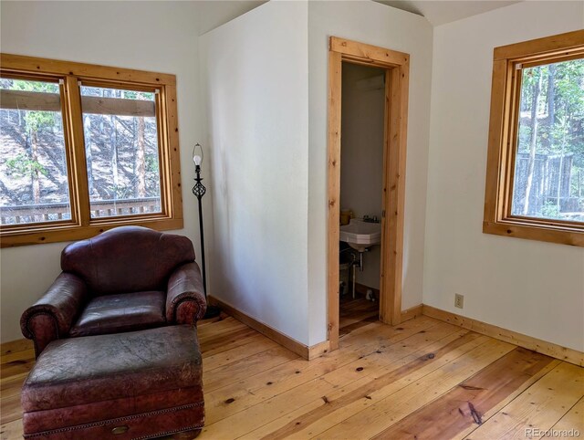 living area with plenty of natural light and light hardwood / wood-style floors