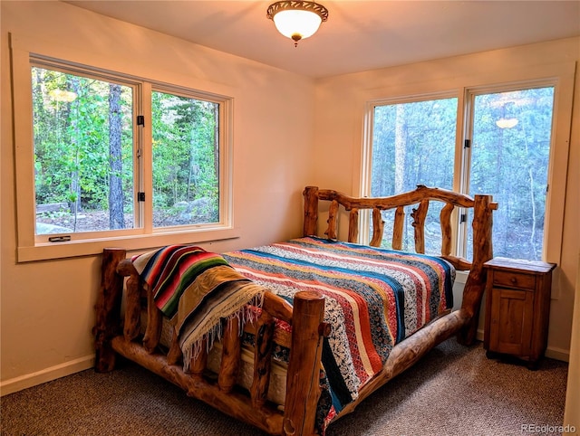 carpeted bedroom featuring multiple windows