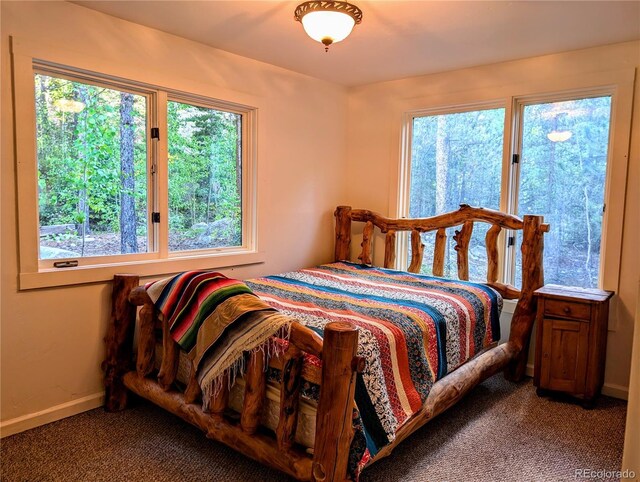23795 County Road 162, Nathrop, CO 81236 - photo 48