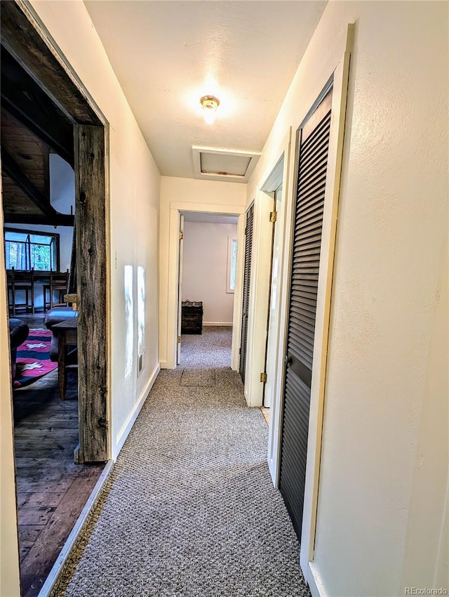 corridor with carpet flooring