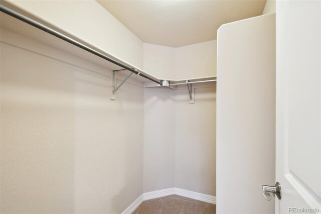 spacious closet with carpet flooring