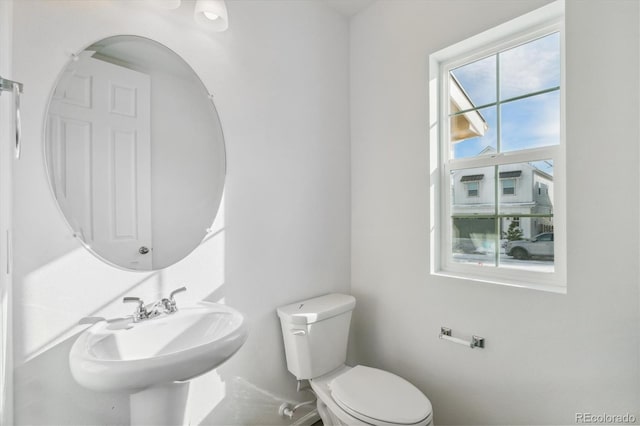 bathroom featuring sink and toilet