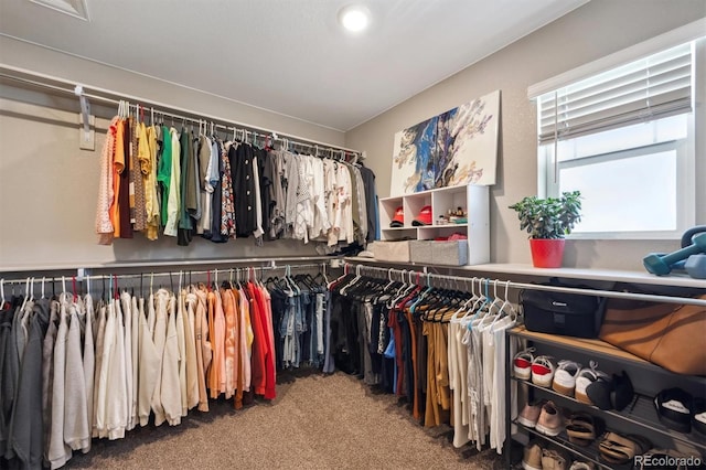 27130 E Maple Ave, Aurora, CO 80018 - spacious closet featuring carpet flooring