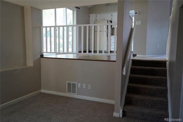 11613 Masonville Dr, Parker, CO 80134 - photo 12