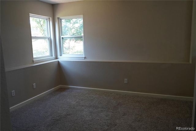 11613 Masonville Dr, Parker, CO 80134 - photo 14