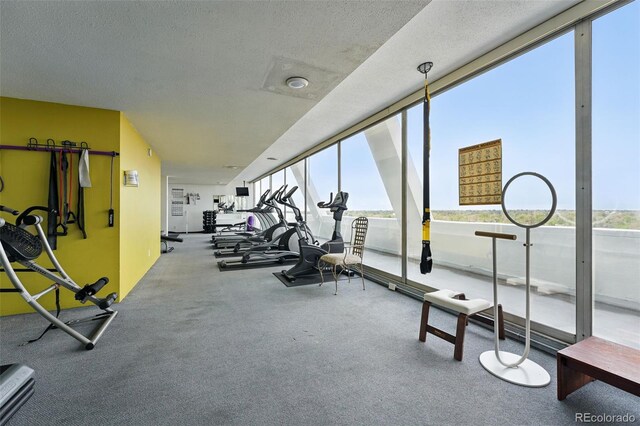 workout area featuring healthy amount of natural light and a textured ceiling