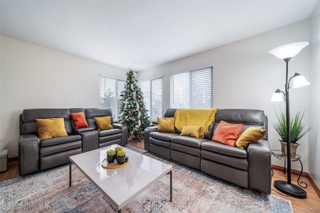 living room with light hardwood / wood-style flooring