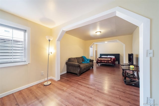 sitting room featuring wood-type flooring