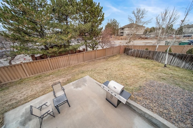 view of yard featuring a patio