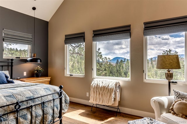 31455 Half Peak Trl, Pine, CO 80470 - bedroom featuring wood finished floors, lofted ceiling, baseboards, and a mountain view