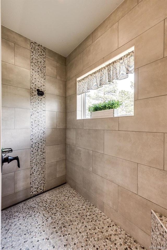 31455 Half Peak Trl, Pine, CO 80470 - bathroom with tiled shower