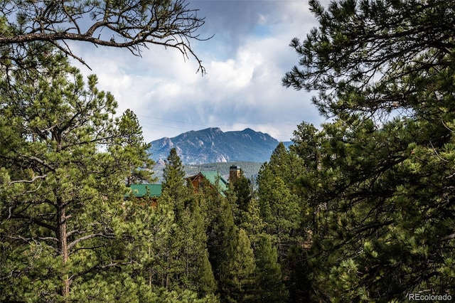 31455 Half Peak Trl, Pine, CO 80470 - view of mountain backdrop