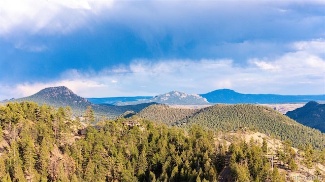 31455 Half Peak Trl, Pine, CO 80470 - mountain view featuring a forest