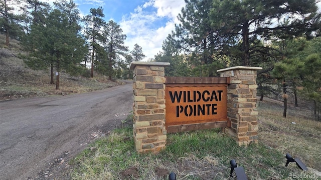 31455 Half Peak Trl, Pine, CO 80470 - view of community sign