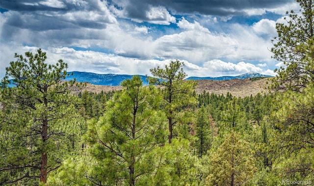 31455 Half Peak Trl, Pine, CO 80470 - view of mountain background featuring a forest