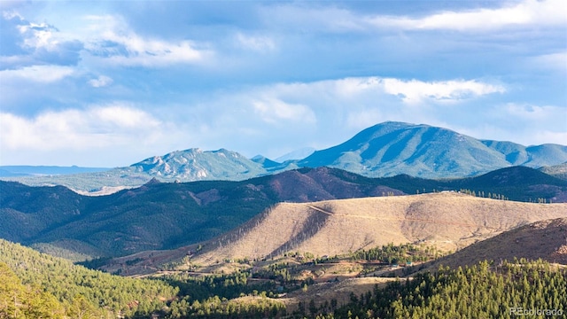 31455 Half Peak Trl, Pine, CO 80470 - view of mountain backdrop