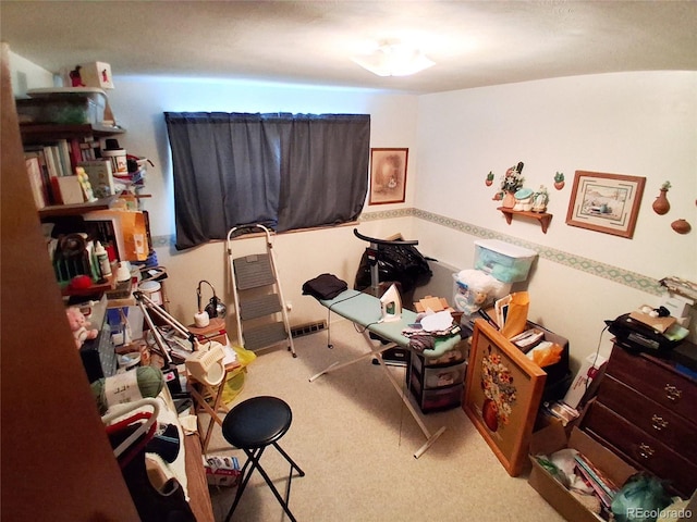 8338 Charles Way, Denver, CO 80221 - misc room featuring carpet floors