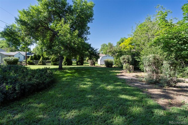 5680 W 41st Ave, Wheat Ridge, CO 80212 - view of green lawn