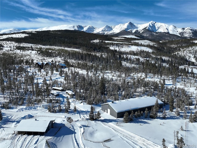 view of mountain feature