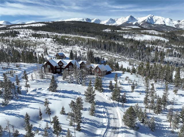 snowy aerial view featuring a mountain view