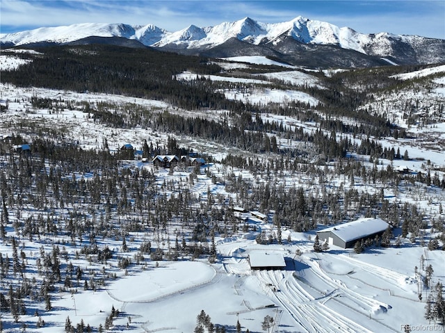 view of mountain feature