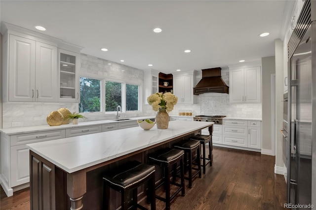 9669 E Prentice Cir, Greenwood Village, CO 80111 - kitchen with premium range hood, a sink, stainless steel appliances, a center island, and decorative backsplash