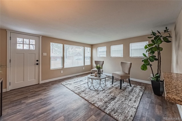 living area featuring dark wood-type flooring