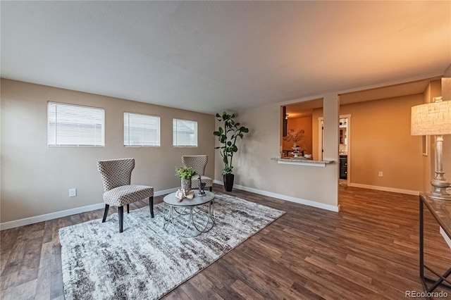 sitting room featuring dark hardwood / wood-style floors