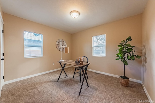 office featuring carpet floors and a wealth of natural light