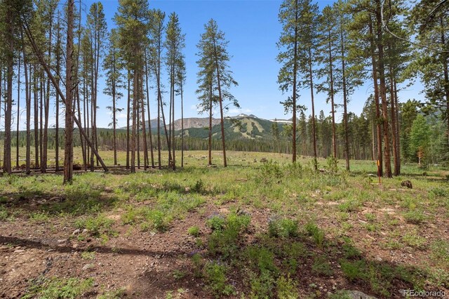 28 White Cloud Dr, Breckenridge, CO 80424 - photo 36