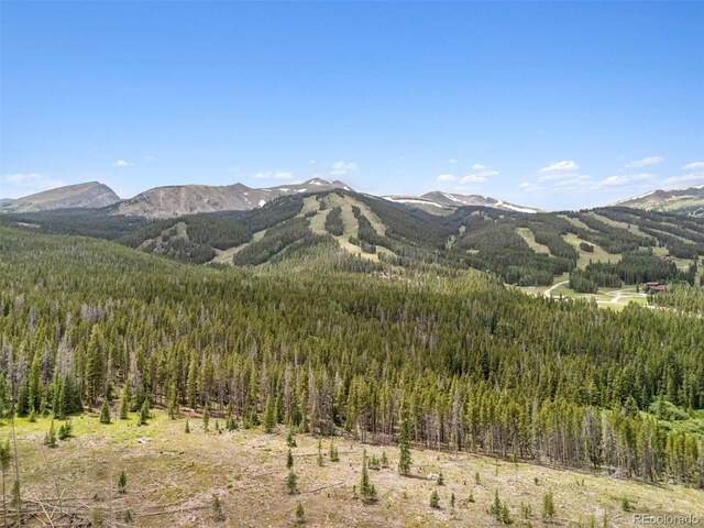 28 White Cloud Dr, Breckenridge, CO 80424 - photo 37