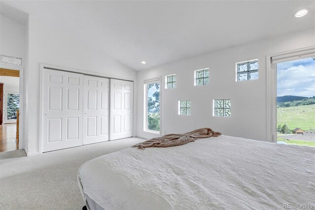 31969 Robinson Hill Rd, Golden, CO 80403 - photo 30