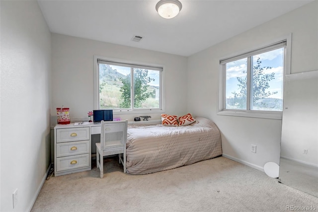 31969 Robinson Hill Rd, Golden, CO 80403 - photo 38