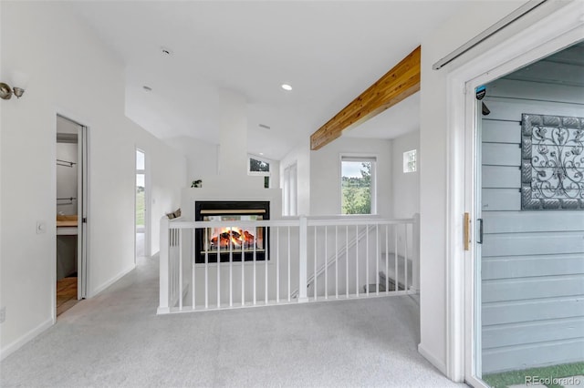 31969 Robinson Hill Rd, Golden, CO 80403 - photo 42