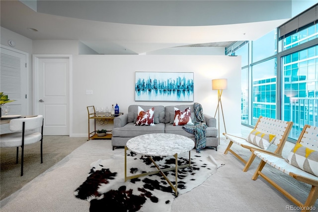 1700 Bassett St Unit 1119, Denver, CO 80202 - living area with carpet flooring