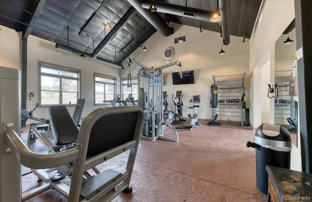 6214 Long Branch Dr, Parker, CO 80134 - workout area featuring high vaulted ceiling