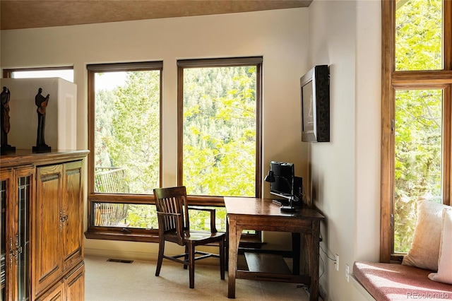 8932 Eastridge Rd, Golden, CO 80403 - office featuring light colored carpet