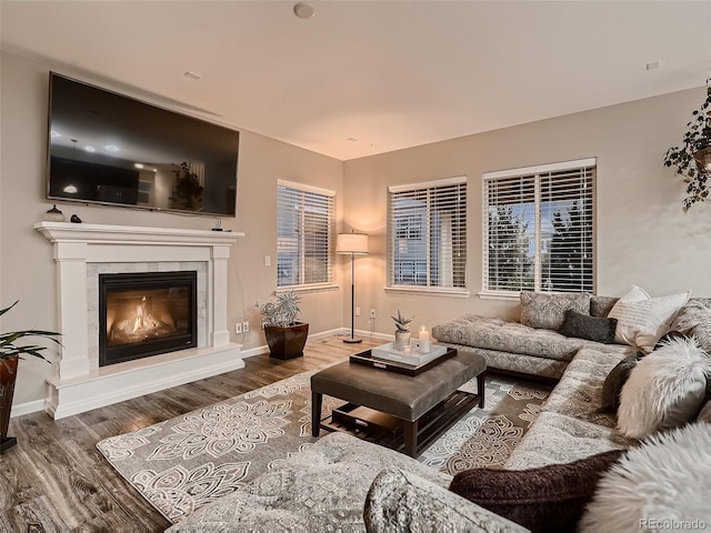 living area featuring baseboards, wood finished floors, and a fireplace