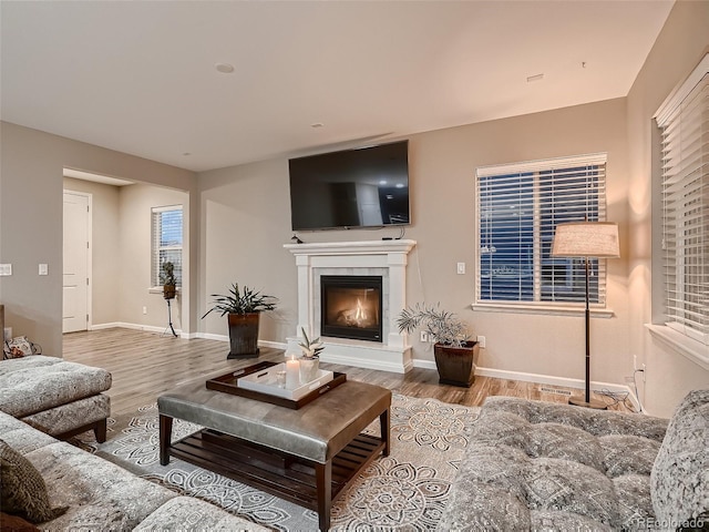 living area with a glass covered fireplace, baseboards, and wood finished floors