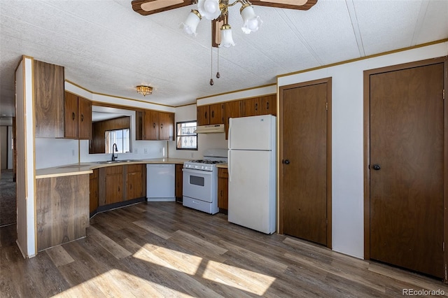 kitchen featuring dark wood finished floors, light countertops, a sink, white appliances, and under cabinet range hood