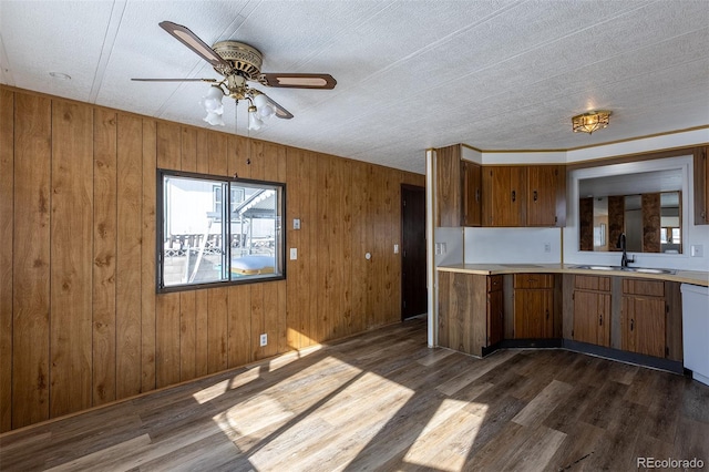 kitchen with brown cabinetry, a ceiling fan, dark wood-style floors, light countertops, and a sink