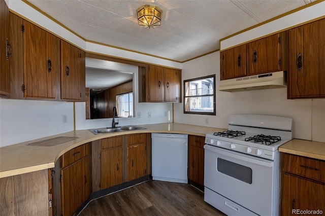 kitchen featuring under cabinet range hood, white appliances, a sink, light countertops, and a wealth of natural light