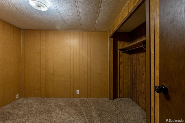 interior space with wooden walls