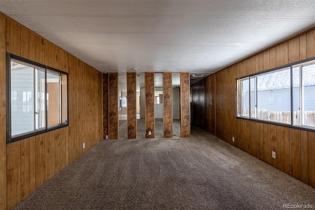 spare room featuring carpet flooring, wooden walls, and a textured ceiling