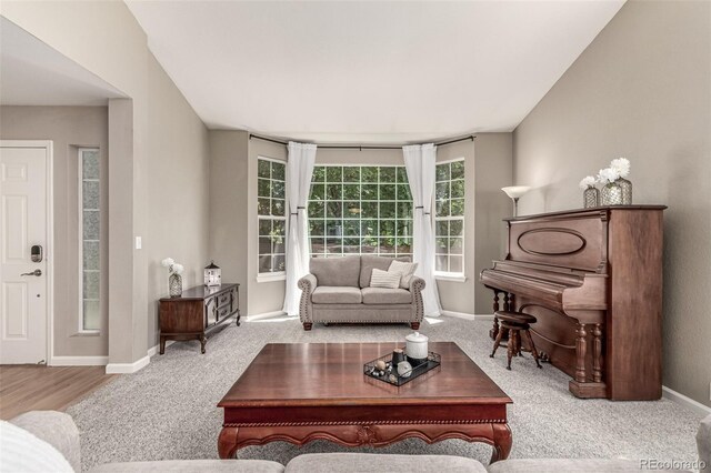 392 Driftwood Cir, Lafayette, CO 80026 - living room featuring carpet flooring