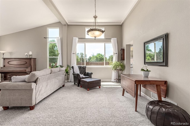 392 Driftwood Cir, Lafayette, CO 80026 - living area featuring carpet and baseboards