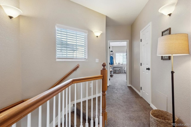 hallway with carpet